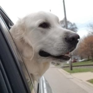 Meet your Posher, Angela